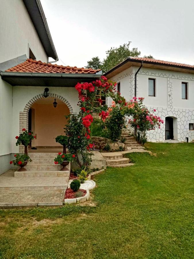 Domacinstvo Sindelic Otel Ivanjica Dış mekan fotoğraf
