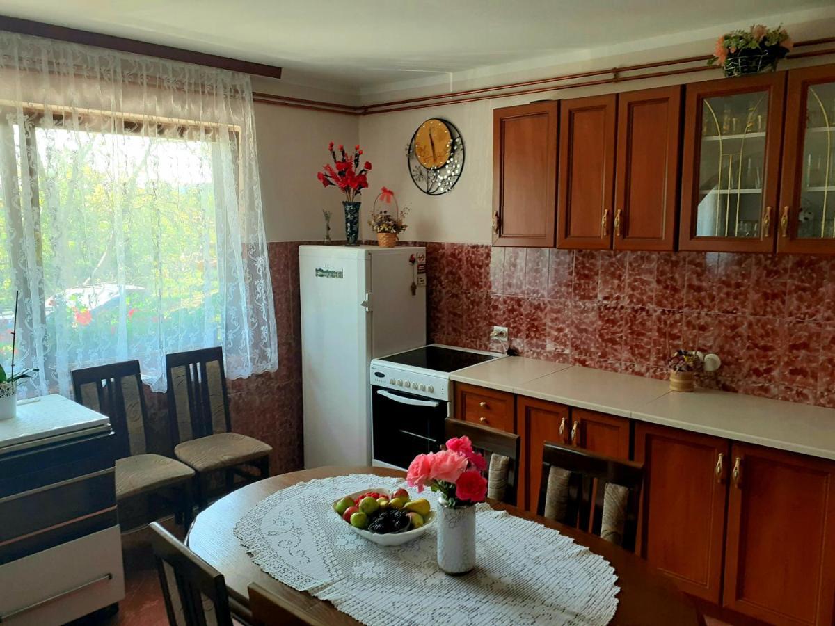 Domacinstvo Sindelic Otel Ivanjica Dış mekan fotoğraf