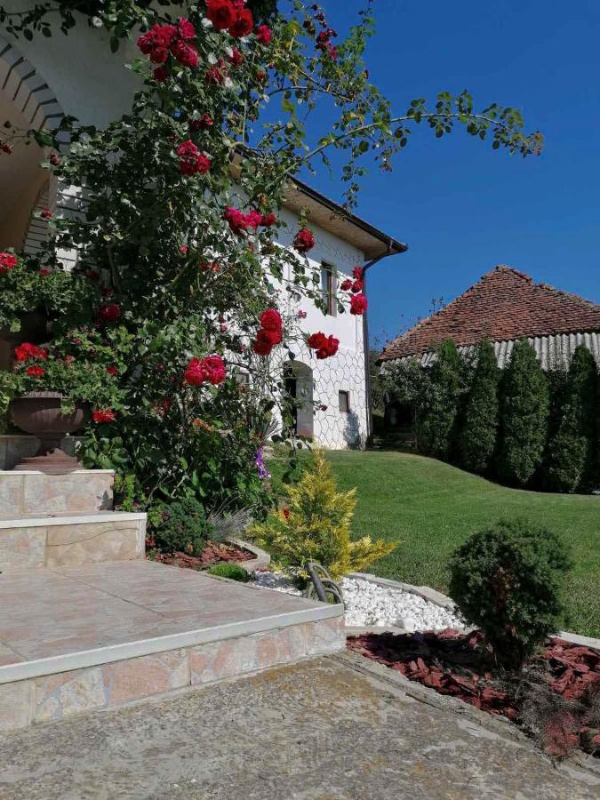 Domacinstvo Sindelic Otel Ivanjica Dış mekan fotoğraf