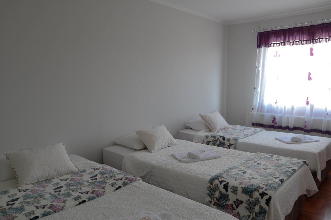 Domacinstvo Sindelic Otel Ivanjica Dış mekan fotoğraf